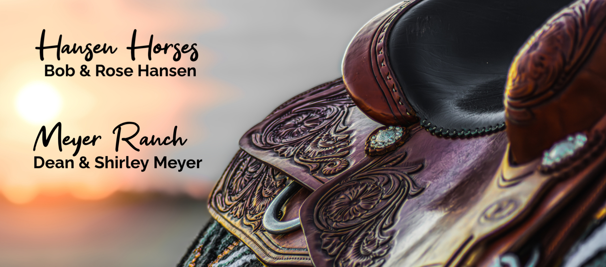 Hansen Horses & Meyer Ranch