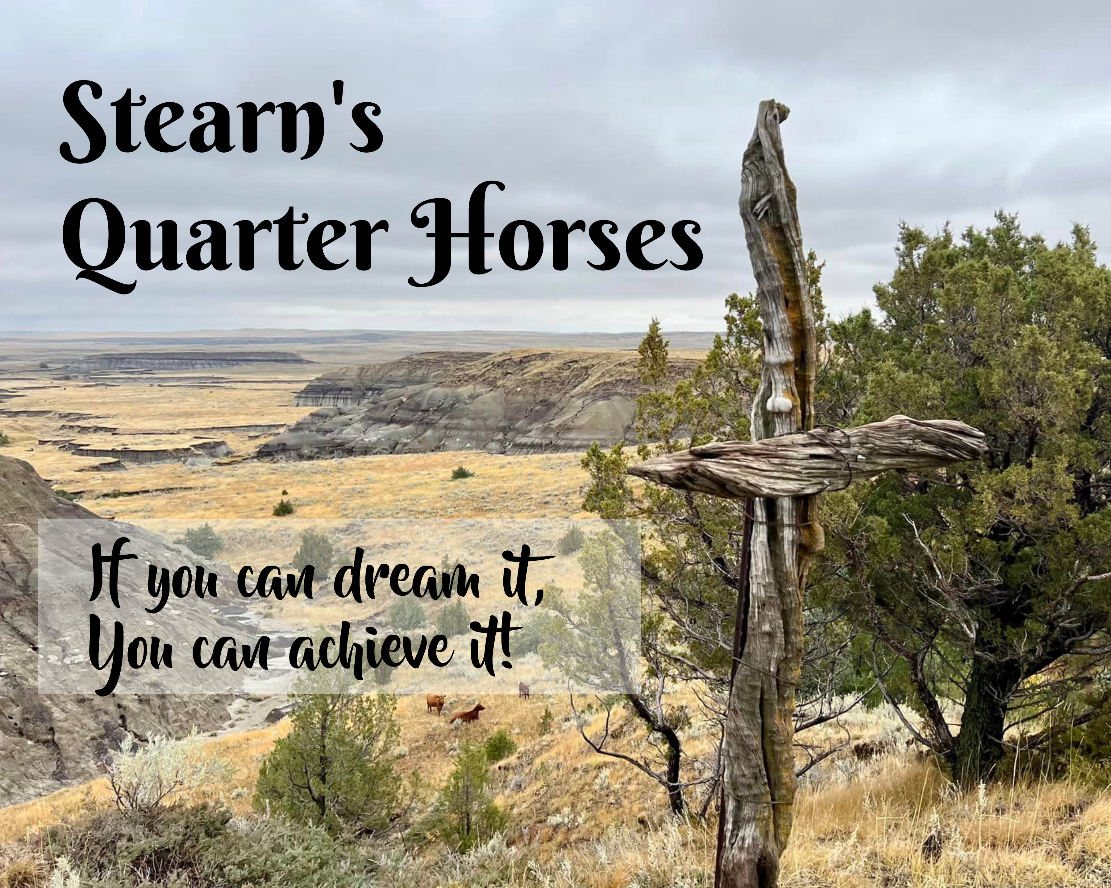 Susie Stearns Ranch