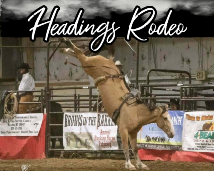 Headings Rodeo